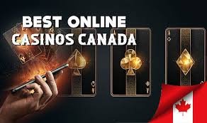Discover the Best Live Casino Online for Exciting Gaming Experiences Discover the Best Live Casino Online for Exciting Gaming Experiences