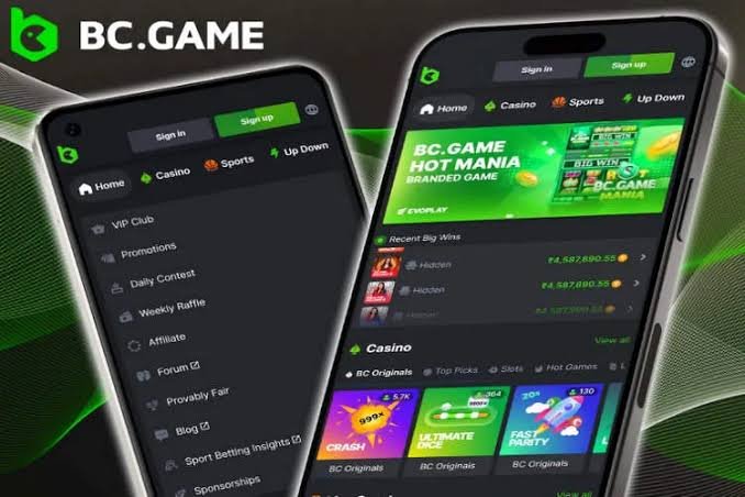 Discover the Thrills of Online Casino BC GAME 942812770